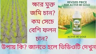 Modicare #Active 80 Gold #benefits #details #damo @snehasrichatterjeedatta3568