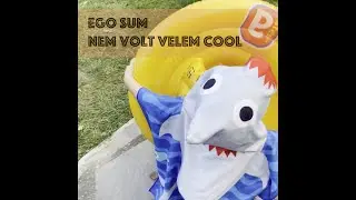 Ego Sum - Nem volt velem cool | Official Vertical Video