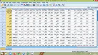Analisis Univariat Skala Guttman pada SPSS