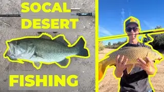 GIANT Fish of the Desert!! 【San Diego BASS Fishing】
