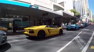 Lambo Squad in Auckland, New Zealand