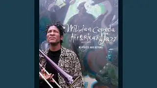 Quasi Plena