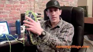 Asics Gel-Neo 33 Main Review