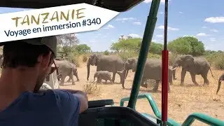 SAFARI EN TANZANIE - VLOG#340