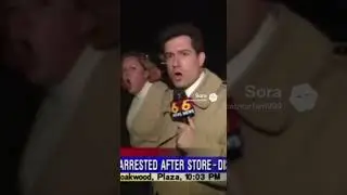 A Karen gets arrested News style 243