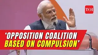 NDA was formed to bring stability, Opposition alliance based on compulsion: PM Modi