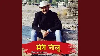 Meri Neelu