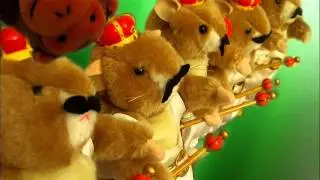 (Dancing Hamster) The 5 Champs of Crazyhippo93 (Quick Update)
