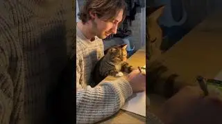 Cat Like Men More Then Women❤️🤗👌🏻#catfact #cat # cat short feed #