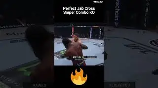 Perfect Jab Cross Combo Knockout by Phil Hawes