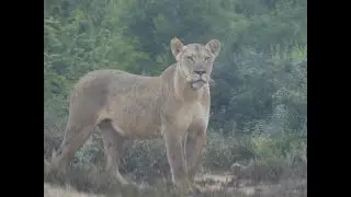 Addo National Park