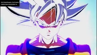 All Forms of GOKU/VEGETA (Part 1)