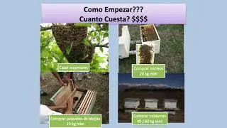 MANEJO DEL APIARIO