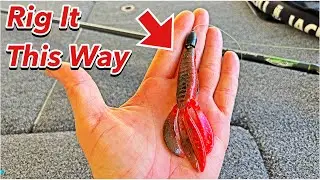 The Best Way To Rig A Beaver Style Bait