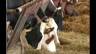 Le Pacte agricole durable Nutrinor  et la ferme du Carrousel