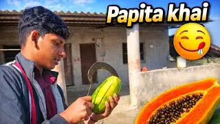 Aaj to papita khai 🤤                              #vlogging #dailyvlogvideo #famliyvlogs #abhyaavlog