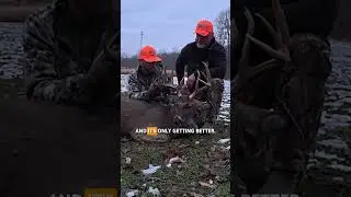 Многолетняя работа по восстановлению среды обитания в рамках Проекта 17 продолжает приносить резу...
