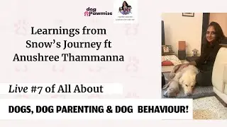 All About Dogs, Dog Parenting & Dog Behaviour - Live #7