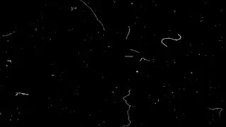 Grains Dust Grunge Overlay | 4K Film Grain Texture & Dust Effects for Video Editing