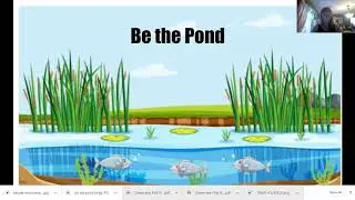 Be the Pond