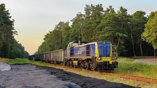 15D-105 Majkoltrans w Wągrowcu 
