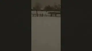 Norman Snow Day