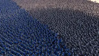 10.000 KNIGHTS vs 10.000 DWARVES | UEBS