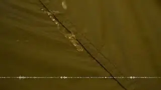 Groundsheet Edge Rain ASMR (9H) &mdash; Slow Drips to Puddle, Concentric Ripples over Moss & Needles