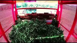 SPAPPERI RE141 model kamill&aacute;ra, levendul&aacute;ra, rozmaringra