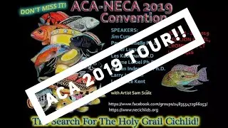 ACA 2019 Walk Through | Cunningham Cichlids