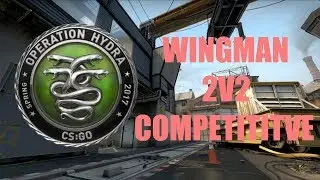 CSGO OPERATION HYDRA WINGMAN #16