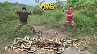 Brave Expert Rescues Boy From 100 Ferocious Dragon Snake In Abandoned House
