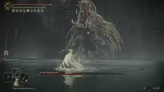 defkneli vs golden hippo
