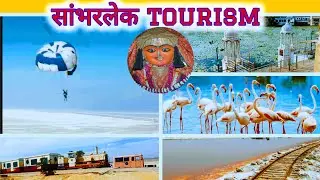 sambhar lake jaipur । सांभर झील।  sambhar festival । flamingo। toy train  ।@ravimathur8033