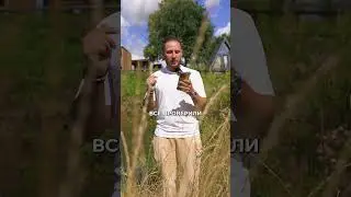 🔥 АВИТО ПРЕДУПРЕДИЛО! Как не потерять объявления #шортс #продажи #глэмпинг #бизнес
