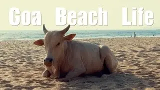 Goa Beachlife | India vlog 2