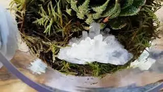 Crystal garden terrariums