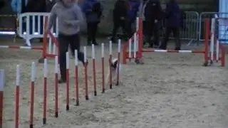 beau luther.wmv