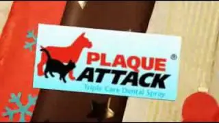 Where To Buy Plaque Attack ONLINE DISCOUNT