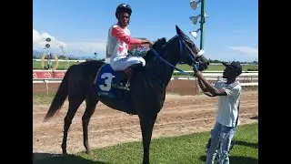 JAMAICA RACING: Comehometome Easy In Sun, Oct 29, 2023, 2nd