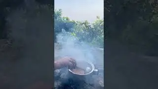 Perfect Milk Tea / Karak Chai on Coal Fire | Cooking in the Forest #shorts #asmr