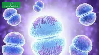 24、36 kinds of Ion Cluster （IV-I）