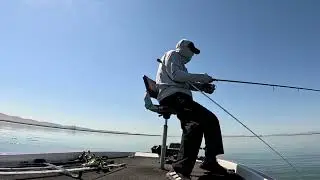 Rip Roaring Day in the California Delta  Striper Fishing! Striped Bass