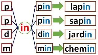 Apprendre le son [ɛ̃] en fran&ccedil;ais : in, im, ein, ain