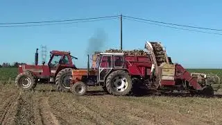 Landb. Lambert - Rèves - Ford 7810 - Fiat 1000 - Fiat 1000 Super - Deutz 7206 - Fiat 1580 DT