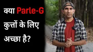 क्या Parle - G कुत्तों के लिए अच्छा है? | What to feed stray dogs