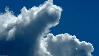 The Ivory Elephant - 