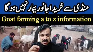 Goat farming a to z information