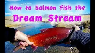 How to Salmon Fish the Dream Stream Sockeye Salmon Kokanee Fly Fishing