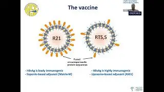Alumni webinar #6: A new era in malaria prevention?
